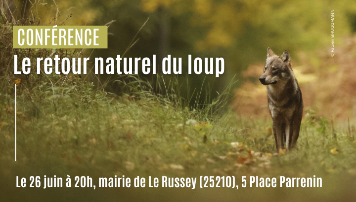 Conférence : Le retour naturel du loup